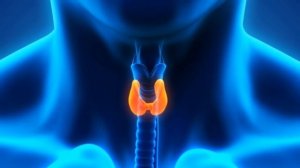 Букок Борлигидан Дарак Берувчи 9 Белги ...