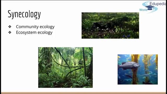 16. Ecology | Autecology & Synecology | Community Ecology | Ecosystem Ecology | Population Ecology смотреть онлайн