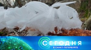 «Сегодня в Санкт-Петербурге»: 27 ноября 2024 года