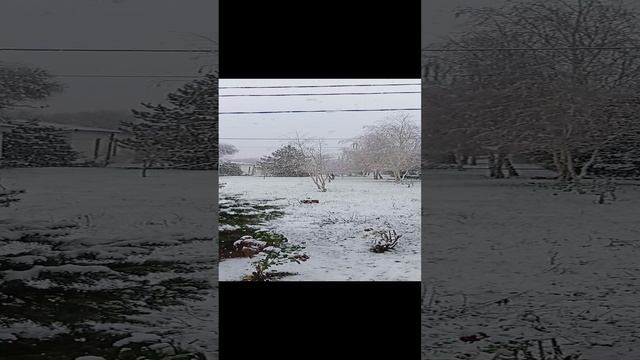 1000059489.mp4