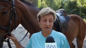 Дети в городе | Конная прогулка с конным клубом "Мир лошадей"