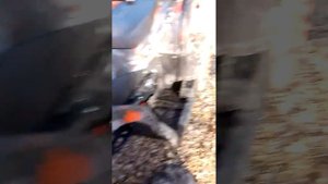 обзор на квадроцикл Motax  Grizlik t200