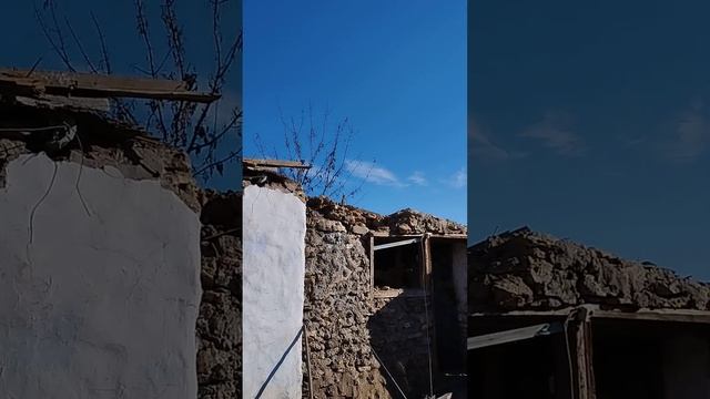 був тут штаб свиноорків, ключове слово був😁