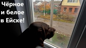 Чёрное и белое в Ейске! Две стороны южного курорта.
