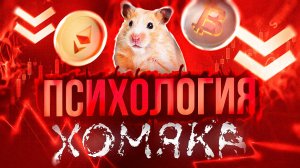 ПСИХОЛОГИЯ ХОМЯКА В ИНВЕСТИЦИЯХ И ТРЕЙДИНГЕ ХОМЯЧКИ НА КРИПТЕ