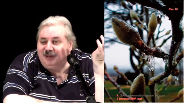 Наука будущего смотреть онлайн