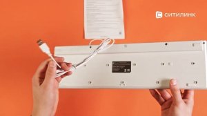 Обзор Клавиатуры Oklick 550ML | Ситилинк