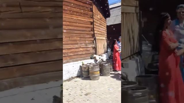 Цыганская свадьба Болосони Екатеринбург