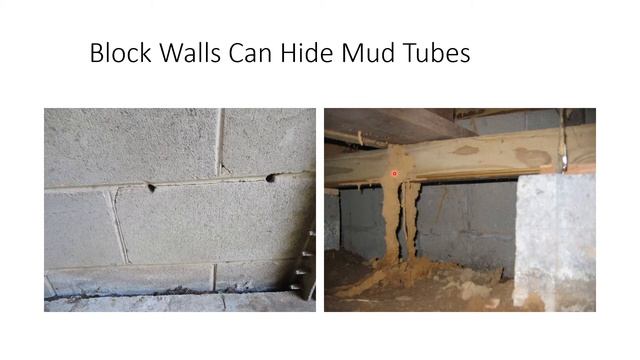 How To Find DIY Do It Yourself Inspection For Formosan Termites In Your Alabama Home Episode 85 смотреть онлайн