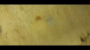 Ремонт утопленника Xiaomi Mi 9T Pro (M1903F11G 6/128) - не включается, шепит при записи аудио.