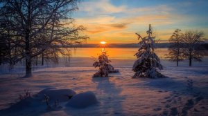 🎼Ron May - Desire❄️