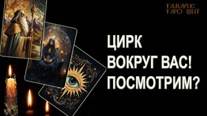 ЦИРК ВОКРУГ ВАС! ПОСМОТРИМ?🔥💯🔥 ГАДАНИЕ ОНЛАЙН  РАСКЛАД ТАРО