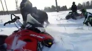 ахота