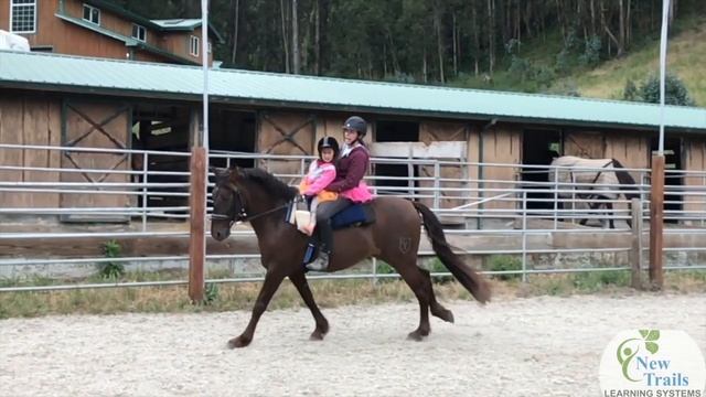 Horse Boy Method - The Best Way for Autism; An Essay by Joell Dunlap смотреть онлайн