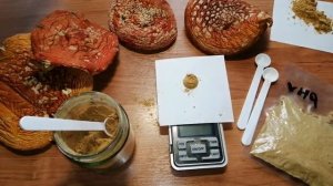 ШУСТРЫЙ и БОДРЯЩИЙ ЭФФЕКТ МИКРОДОЗИНГ КРАСНОГО МУХОМОРА ОТ КарсНео. Сколько съесть порошка из шляпо