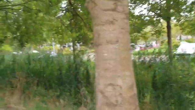 #НаПрогулке #СтараяКрепость #боевики моего #Детства #Puppy