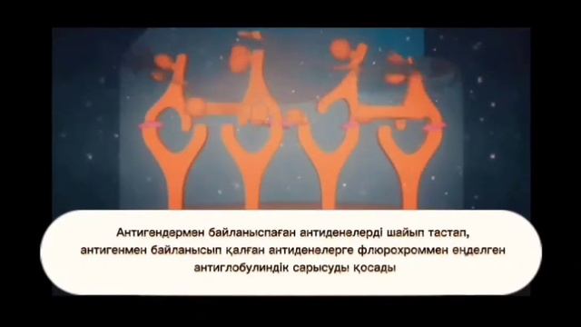 ИММУНОФЛЮОРЕСЦЕНЦИЯ РЕАКЦИЯСЫ