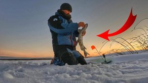 Зимняя рыбалка на щуку | Ловля щуки на жерлицы 2021