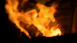 Fleur -- Шелкопряд