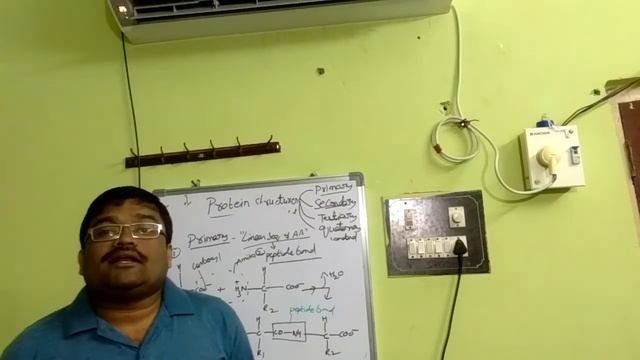 Biomolecules : Protein Structures (Primary to Quaternary)