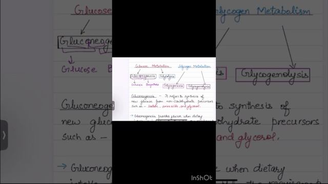 #Glycogen metabolism #Glucose metabolism#mcatprep#biochemistry