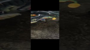 Лодка тактика 370