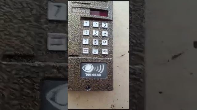 домофон Сейф-Сервис смотреть онлайн