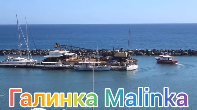 Ольга Уралочка live /Мордобой  /Страсти кипят /Обзор Влогов /Уралочка и Сафар /