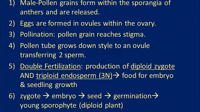 Biology 182 Lab 5 Angiosperms