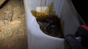 VW polo Liftback 1.4 Tsi, замена масла после обкатки / 3078км / бюджет 3200р