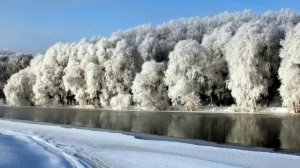 Память книга оживит. Донская природа» 2021 1-й этап Гавриил Колесников «В зимнем лесу» Отрывок