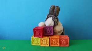 Учимся считать от 1 до 10  Зайчик Пушистик и кубики  Развивающее видео для малышей