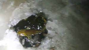 Открываем зимний сезон рыбалки на Печоре \ Начало есть