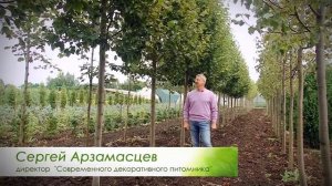 Современный декоративный питомник