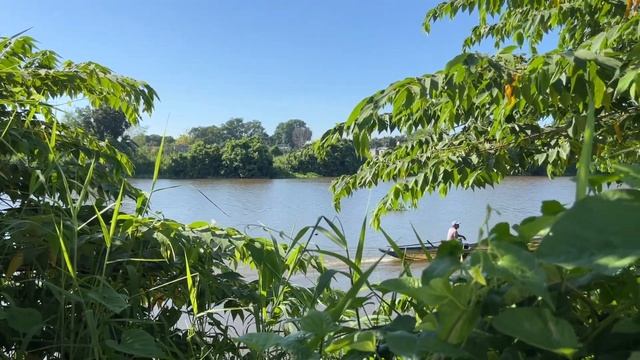 PH 2022 - Part 1 : Tienzo Farm смотреть онлайн