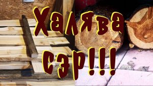 Самостоятельная заготовка древесины.