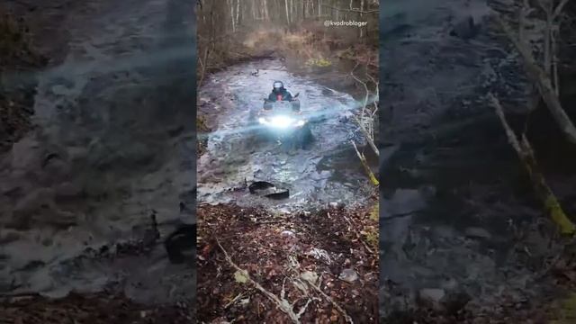 cf CFORCE 800 выбирается из водоема на берег #atv #квадроциклы #cfmoto смотреть онлайн