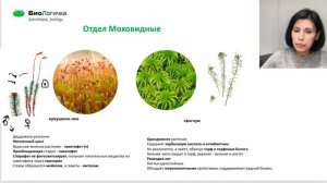 7 МОДУЛЬ Ботаника Отдел Моховидные