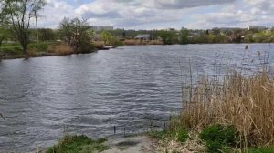 берег реки