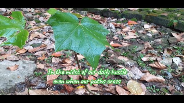 pantheism смотреть онлайн