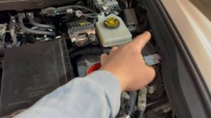 Lexus LS 460, ГБО на него- возможно!