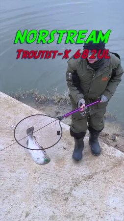 Рекордная форель на Troutist-X 682UL от Norstream #norstream #fishing #рыбалка #форель