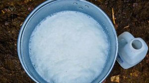 ДИМЕКСИД vs ГРИБОК ногтей: Кто победит?