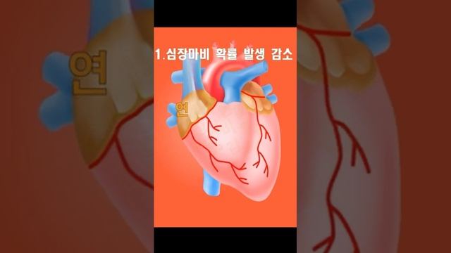 [2024 헌혈공모전] 헌혈 이야기