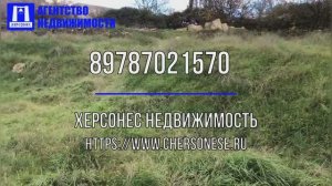 #Продажа земельного #участка 10 сот., ИЖС, ул.Феодосийская  #севастополь