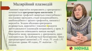 Токсоплазма. Малярійні плазмоїди.