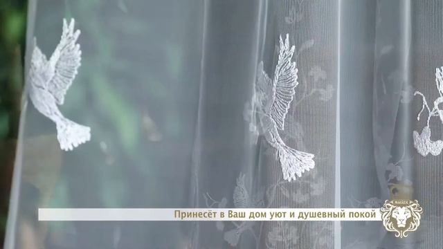 48168 Video смотреть онлайн