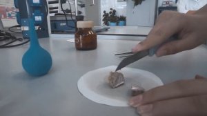 Увлекательная химия  Прыгающий Натрий