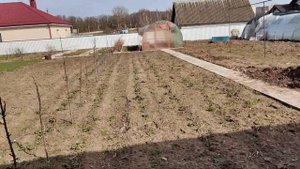 Кормушка для кур из пластиковой бочки#курочки #дела #домашние ..