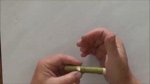 Свисток из палочки